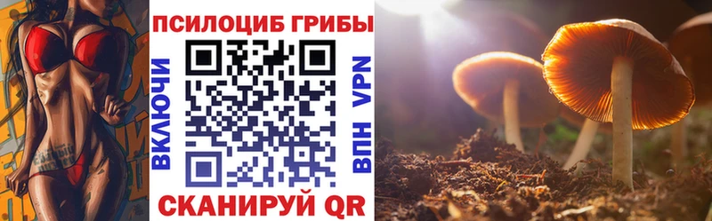 Галлюциногенные грибы прущие грибы  Дмитриев 